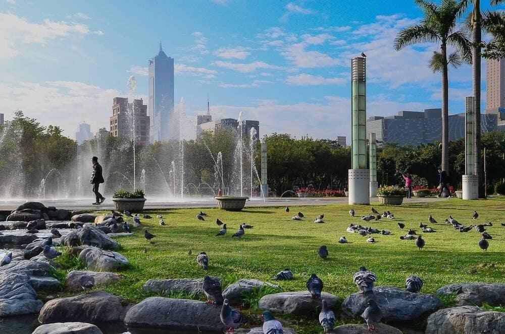 A green urban area