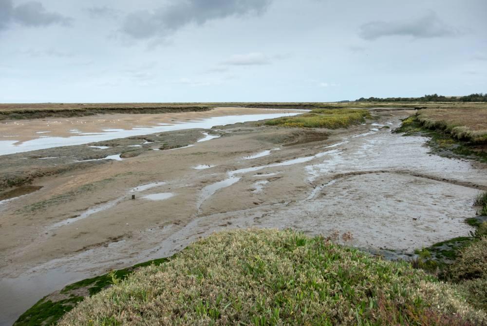 An estuary