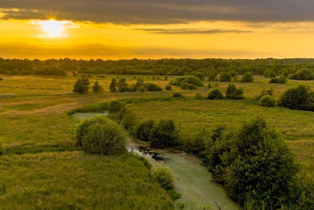 A river running through fields