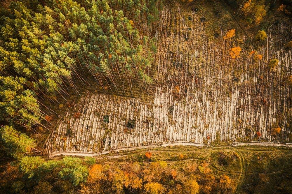 An arial view of an ara where deforestation has occured
