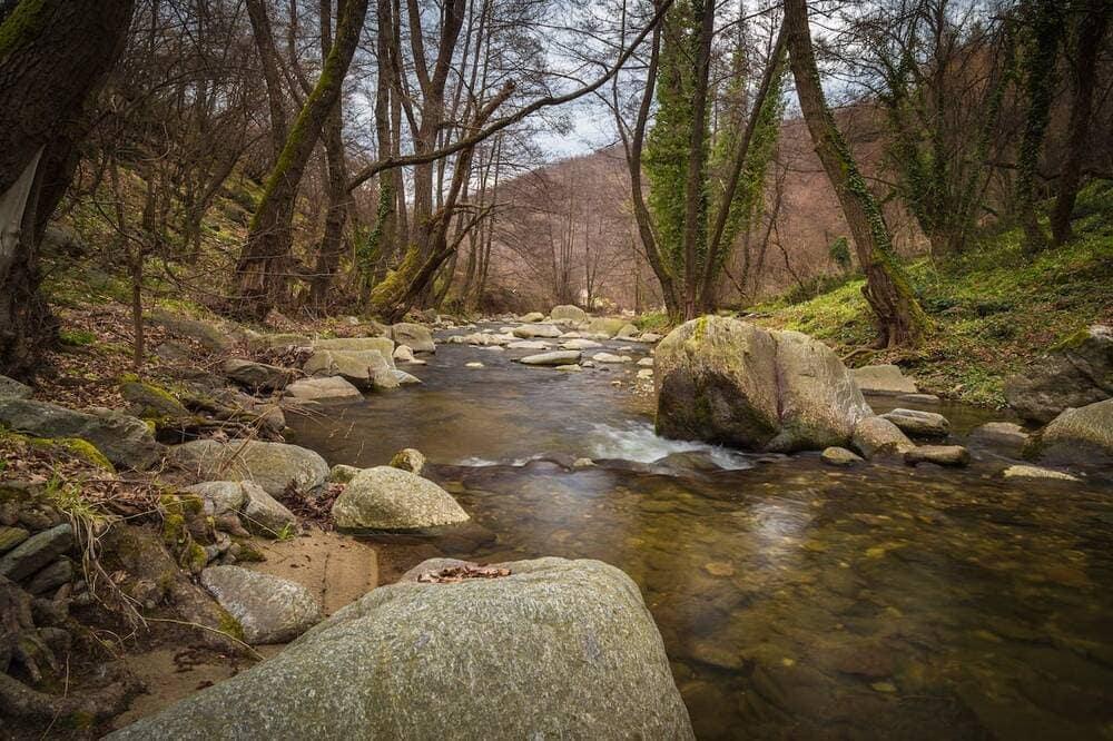A stream