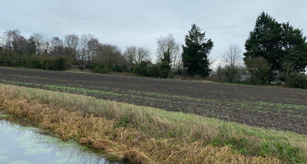 Monkton Habitat Bank