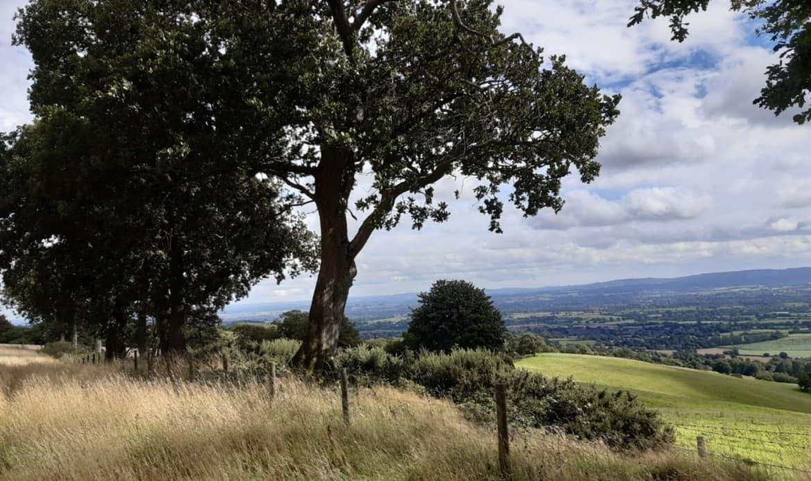 Quantocks Reserve