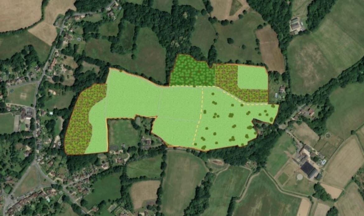 Chiddingfold Habitat Bank