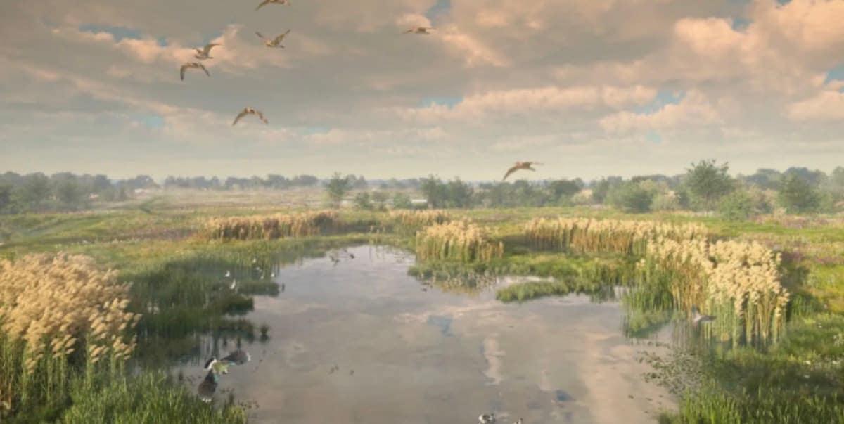 Lostock Lagoon Habitat Bank (+OMH)