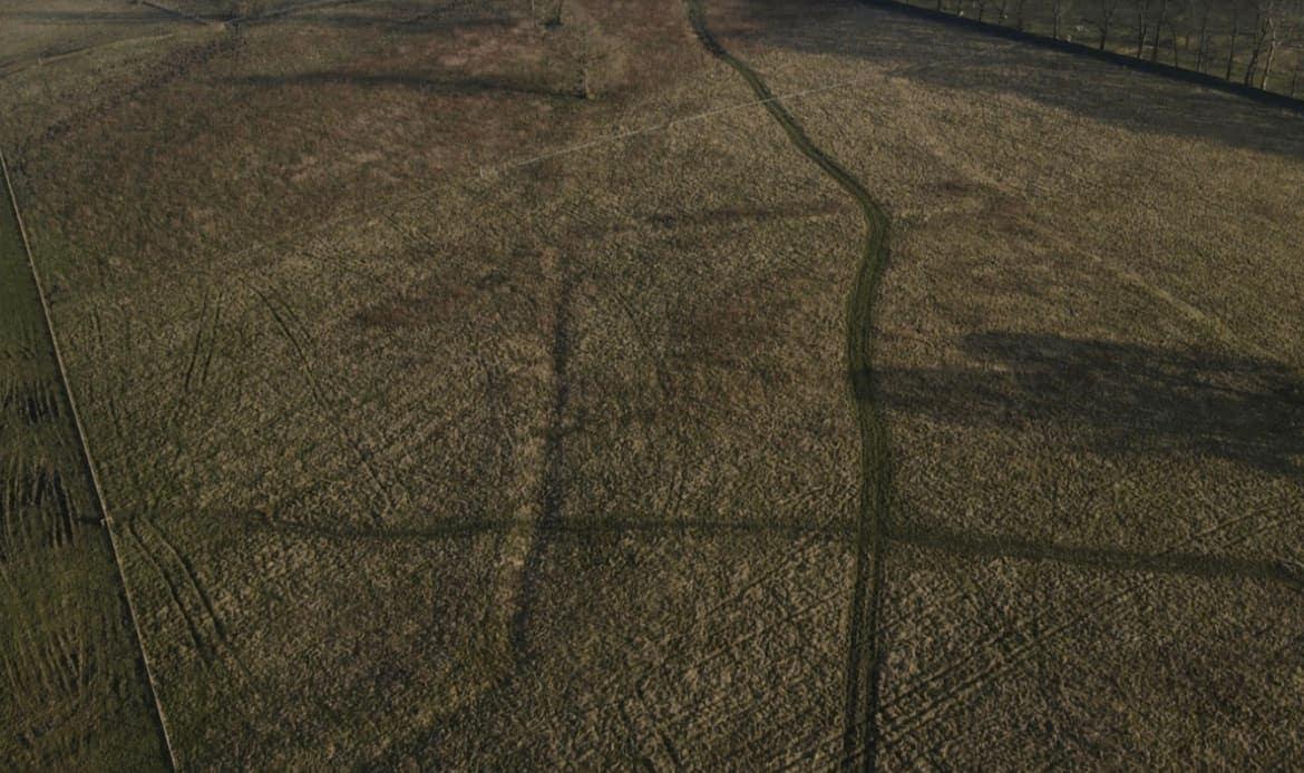 Mixed Scrub Area Units