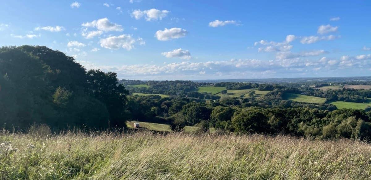 Woodland and Acid Grassland - BGS Registered