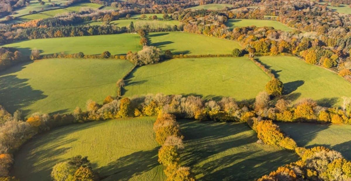 Wadhurst Habitat Bank
