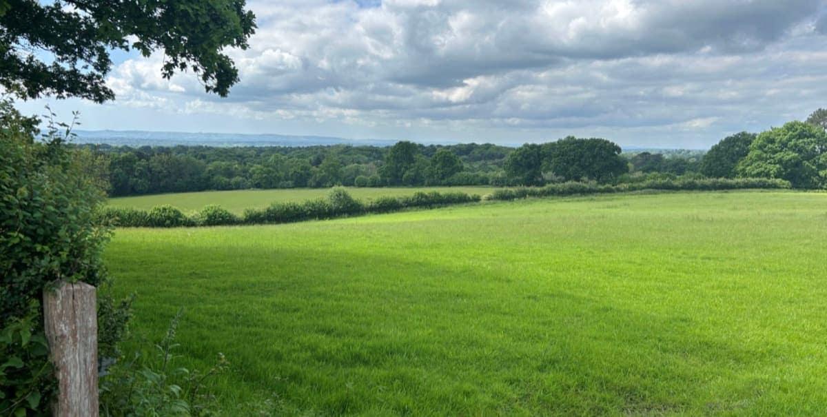 Masketts Habitat Bank