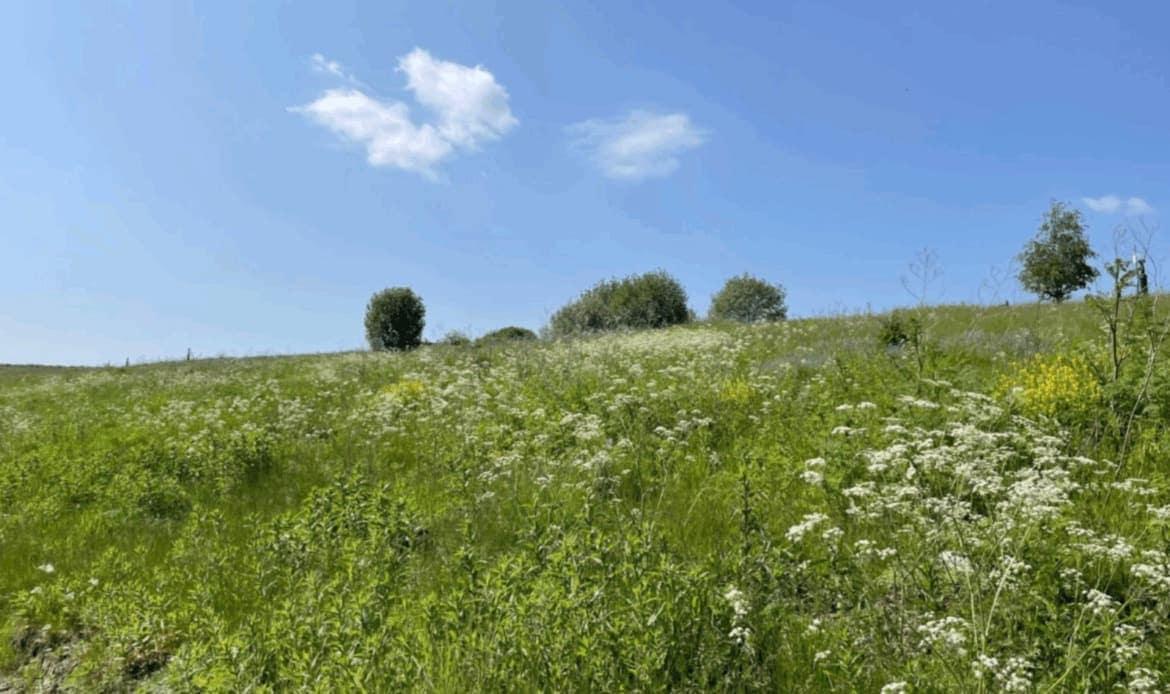 Landowner run scheme