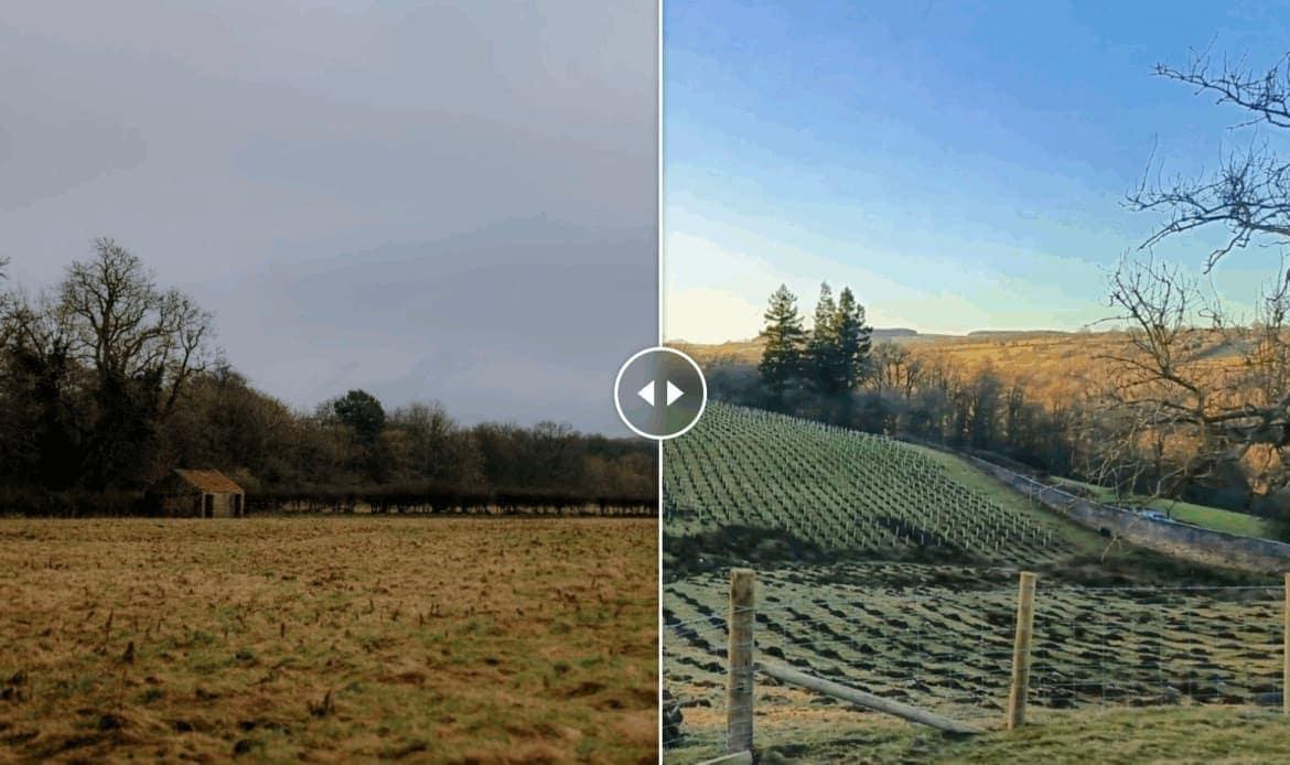 Leading Sustainable Estate