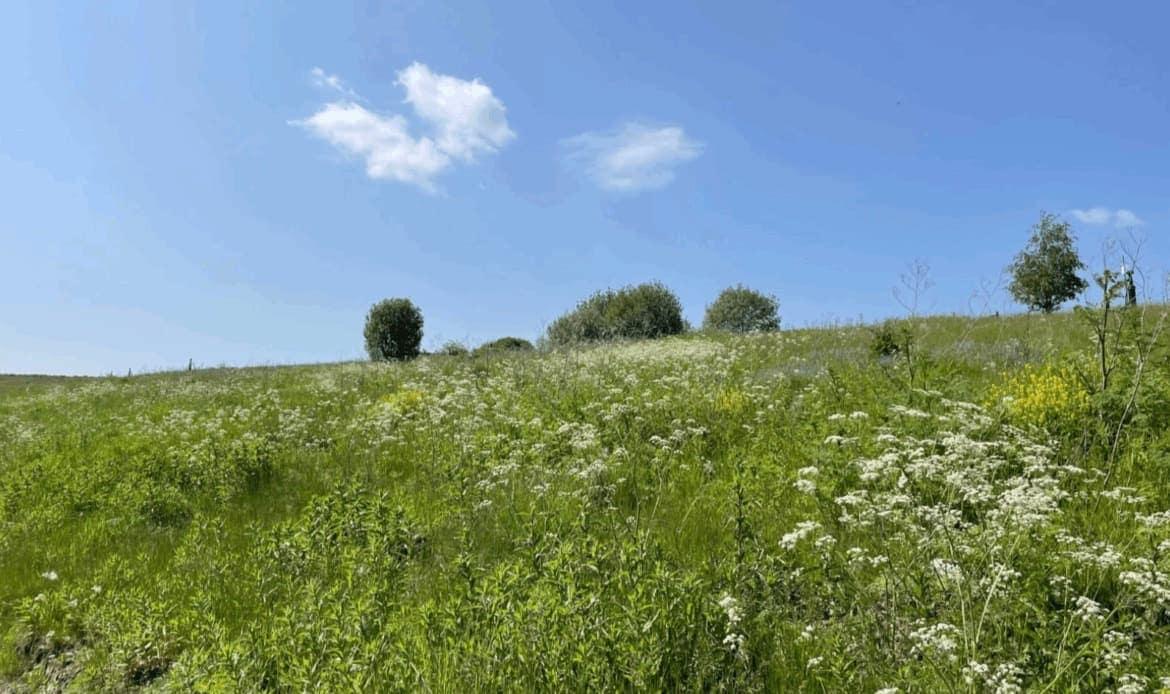 Former landfill site