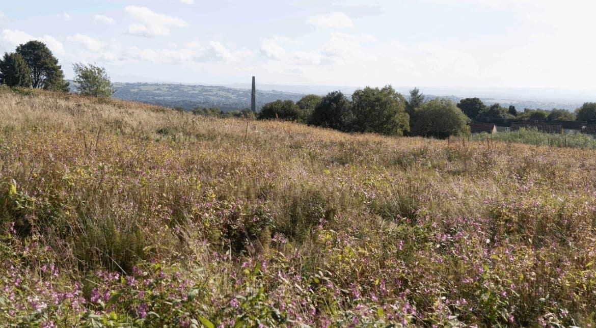 Bolton Old Links Golf Club Habitat Bank