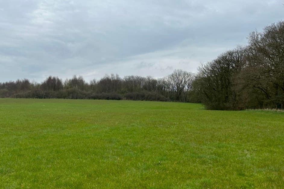 Abbotts Hall Habitat Bank