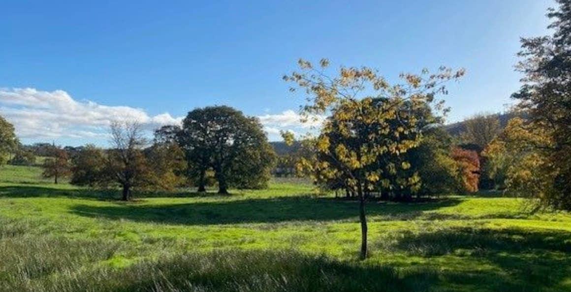 Whins Farm Habitat Bank