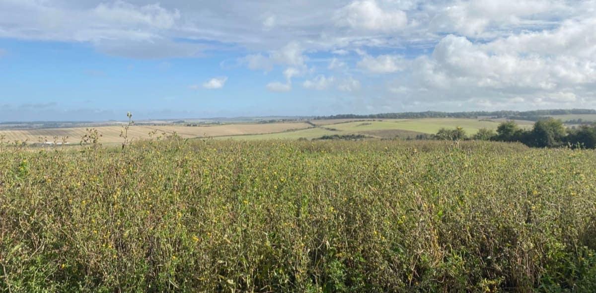 Baldock Habitat Bank