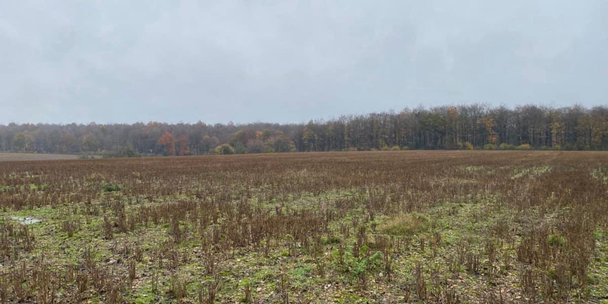 St Albans/Three Rivers Habitat Bank