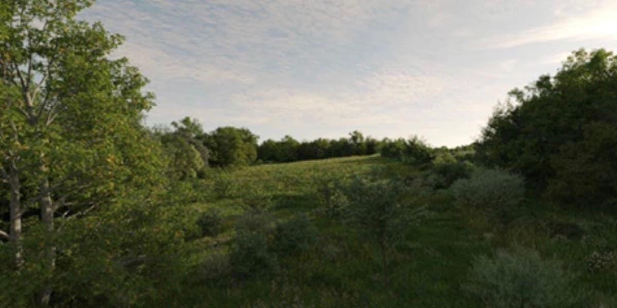 Keele Meadows