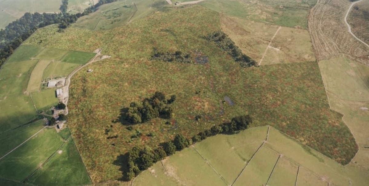 Keighley Habitat Bank