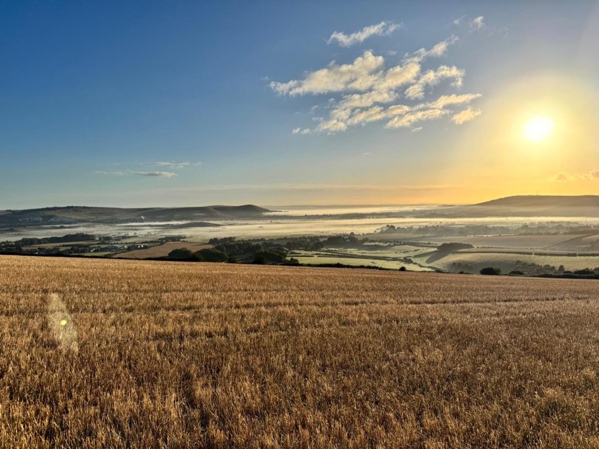 Iford Biodiversity Project
