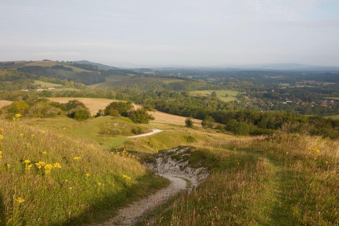 Wiston Biodiversity Project