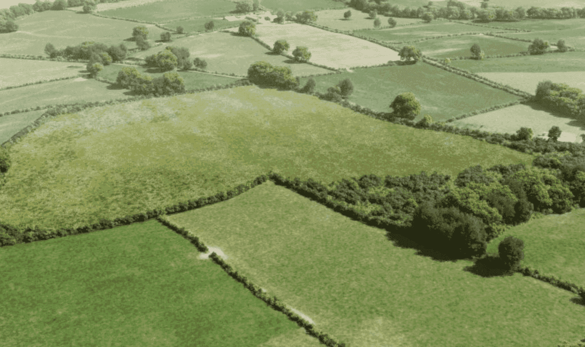Puddington Habitat Bank