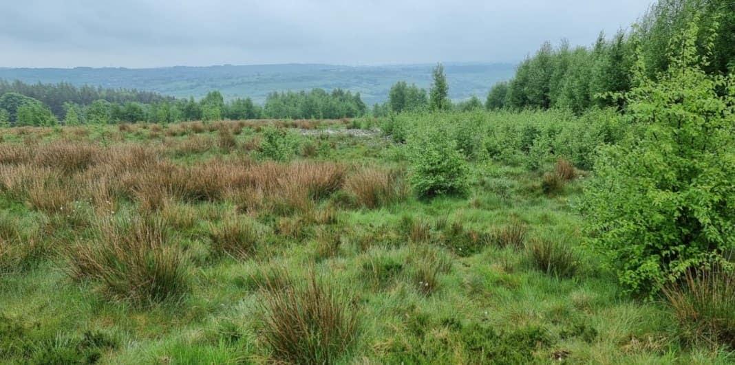 West Yorkshire