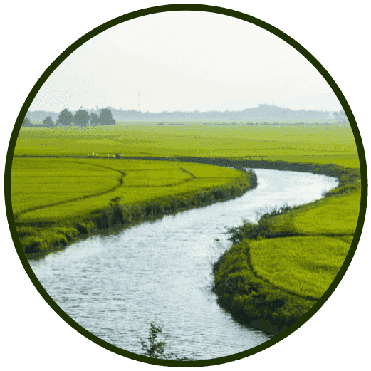 A river winding through green fields