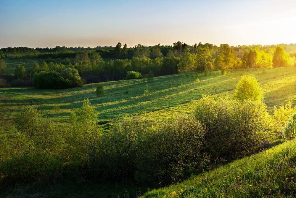 Sunrise over fields