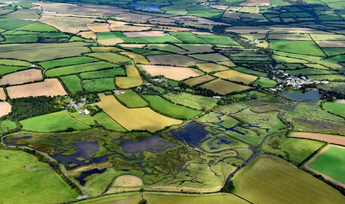 Fields as seen from the air