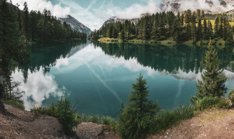 A lake and trees