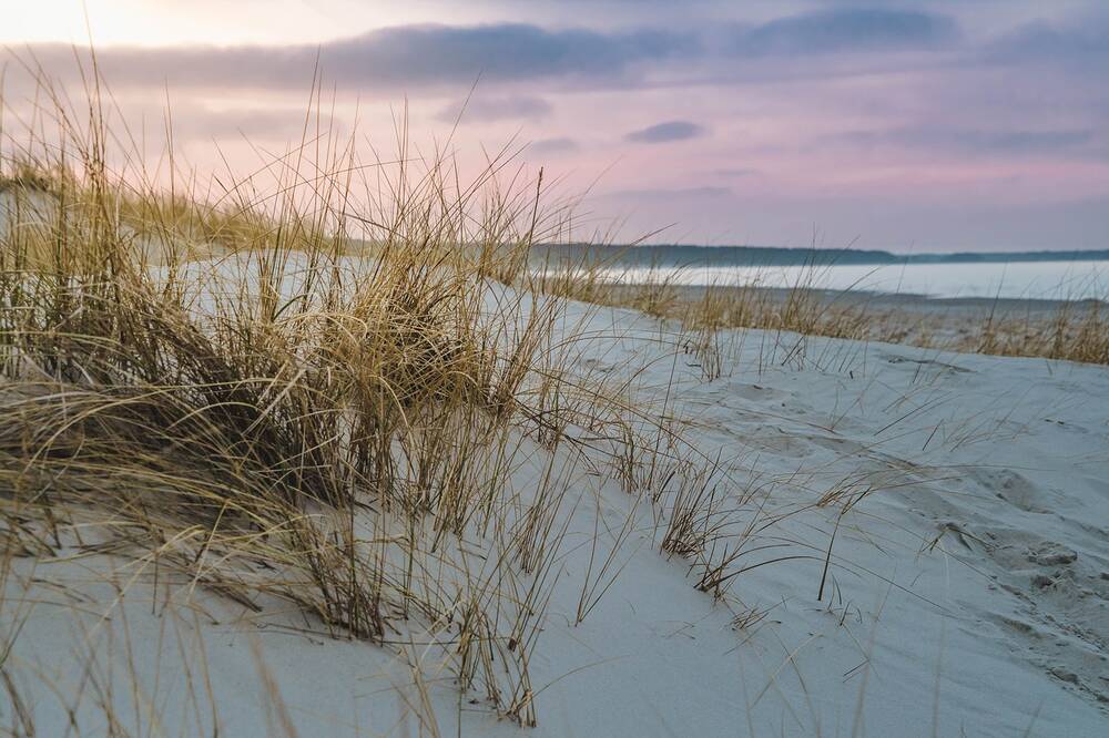 A sand dune by the sea