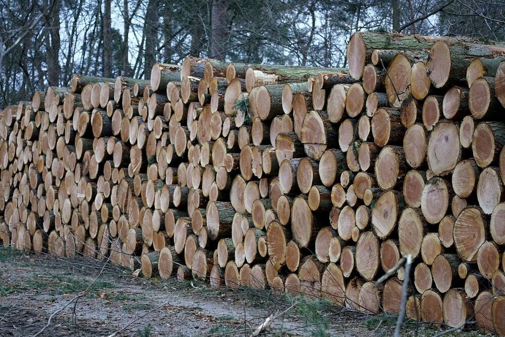 A pile of lumber