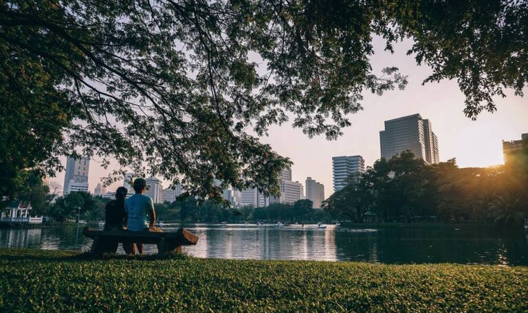 A park and pond with a city in the background