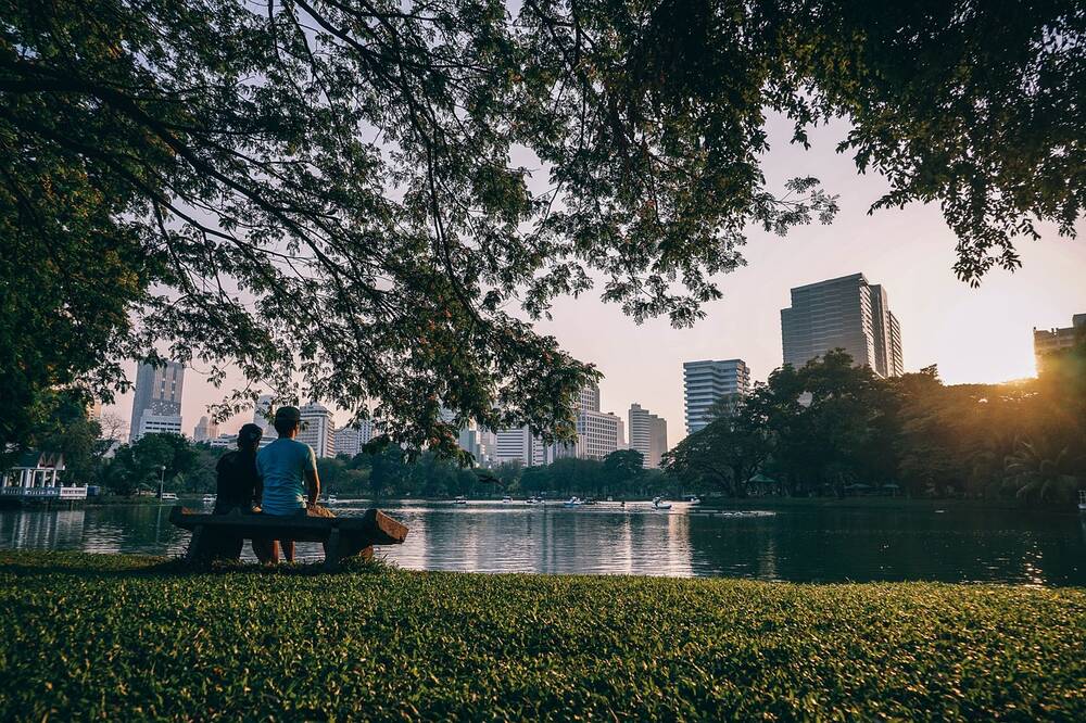 A park and pond with a city in the background