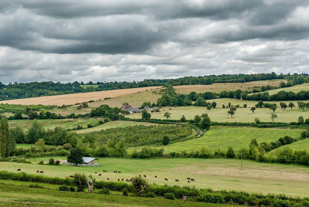 Fields with hedgerows