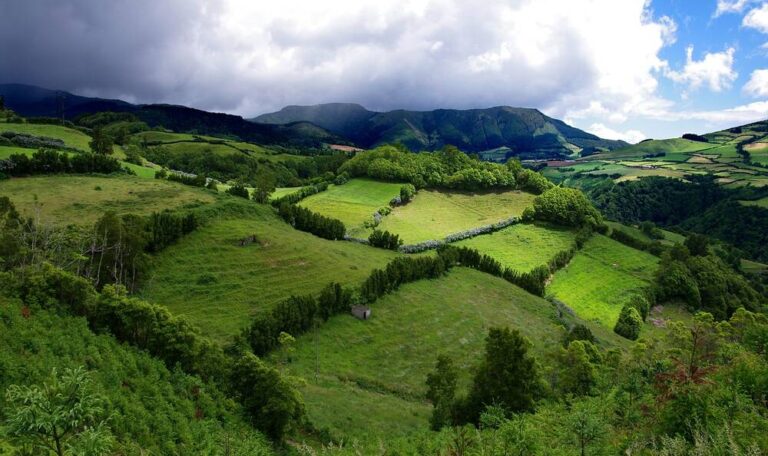 Hedgerows seperating several fields