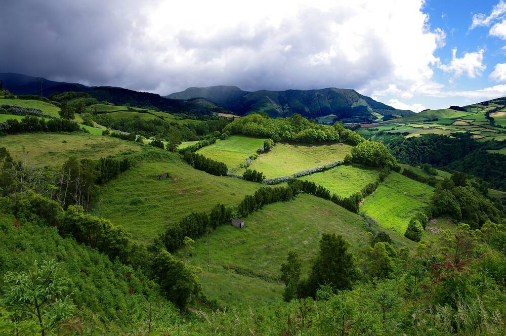 Hedgerows seperating several fields