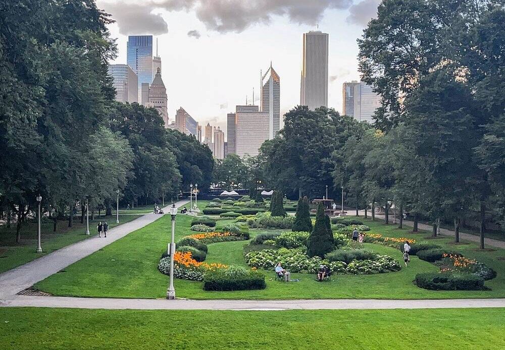 A park with a city in the background