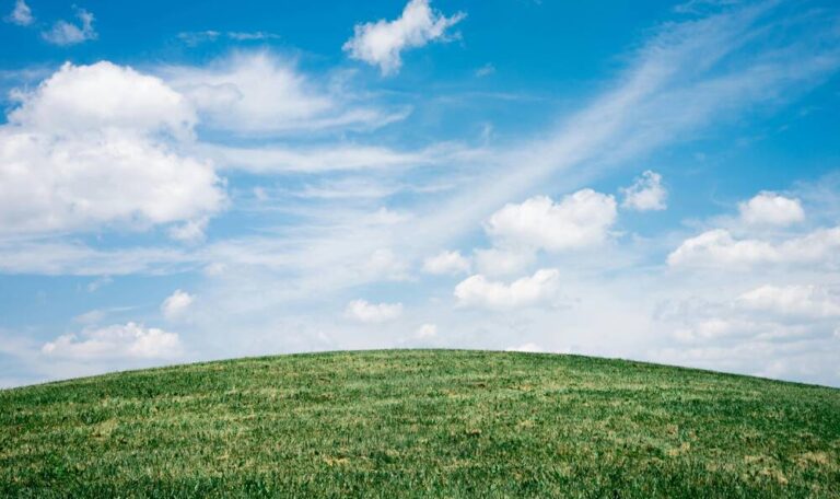 Green grass and blue sky