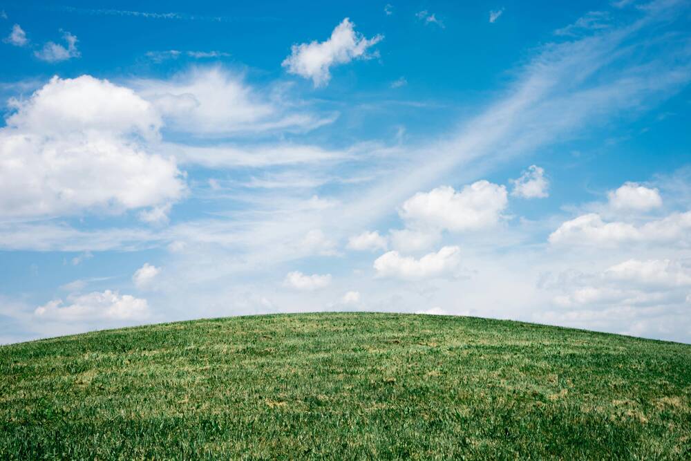 Green grass and blue sky