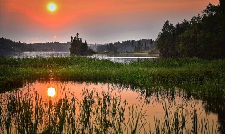 A wetland with a sunset above it