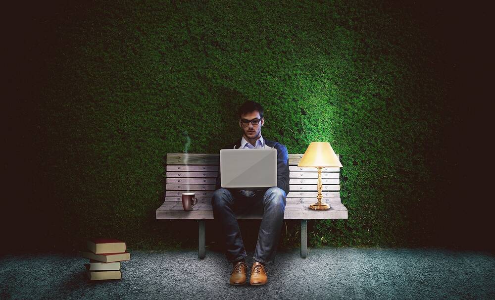 A man working on his laptop in front of a hedge