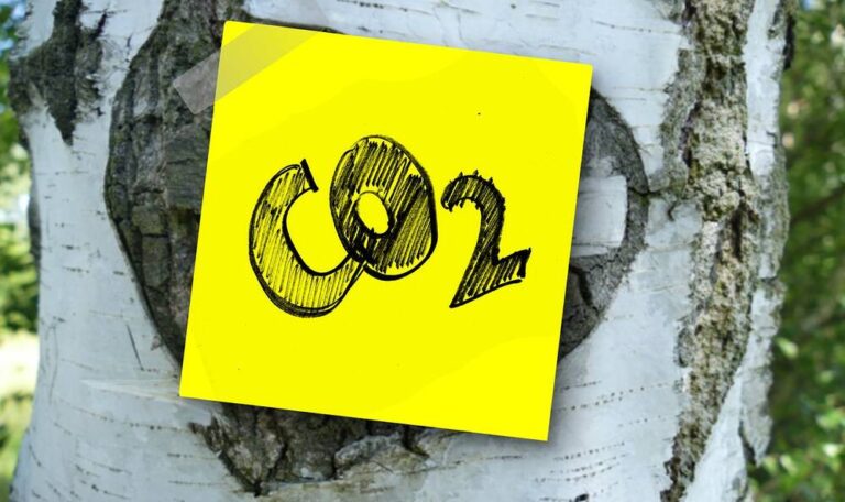 A Co2 label on a tree