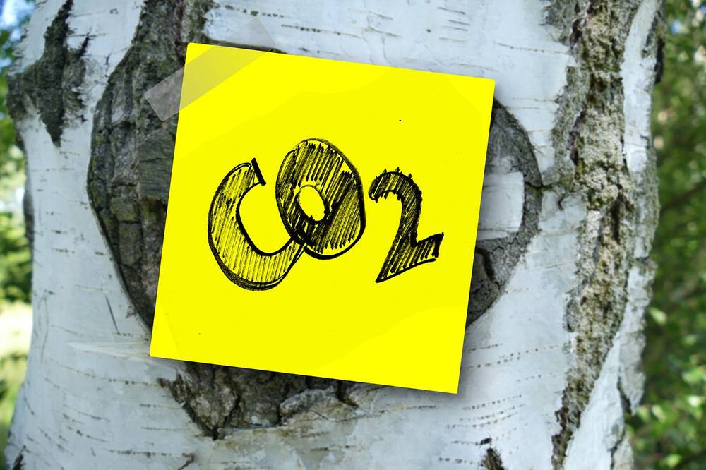 A Co2 label on a tree