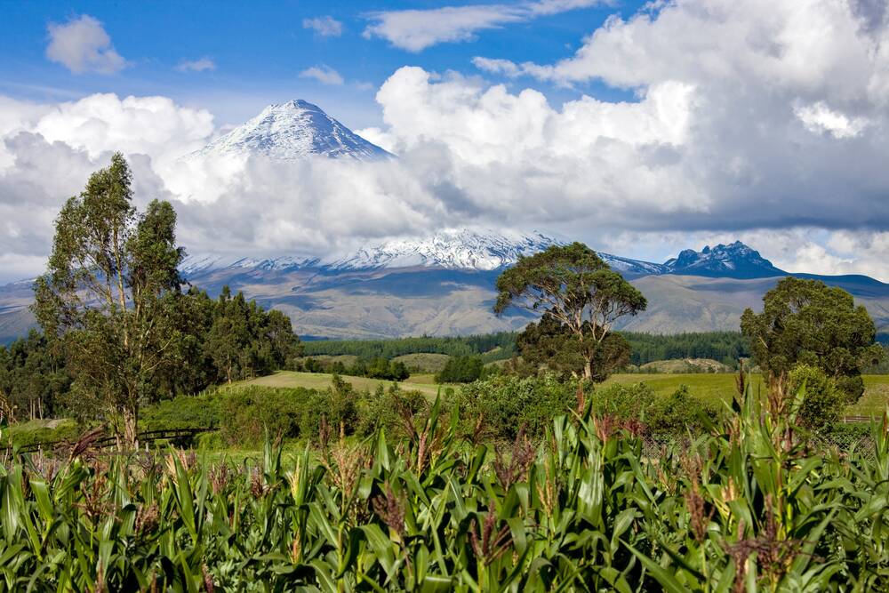 Mountains in Coloumbia