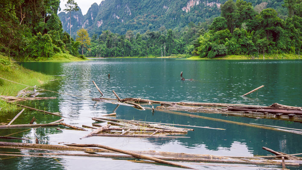 A river in Thailand