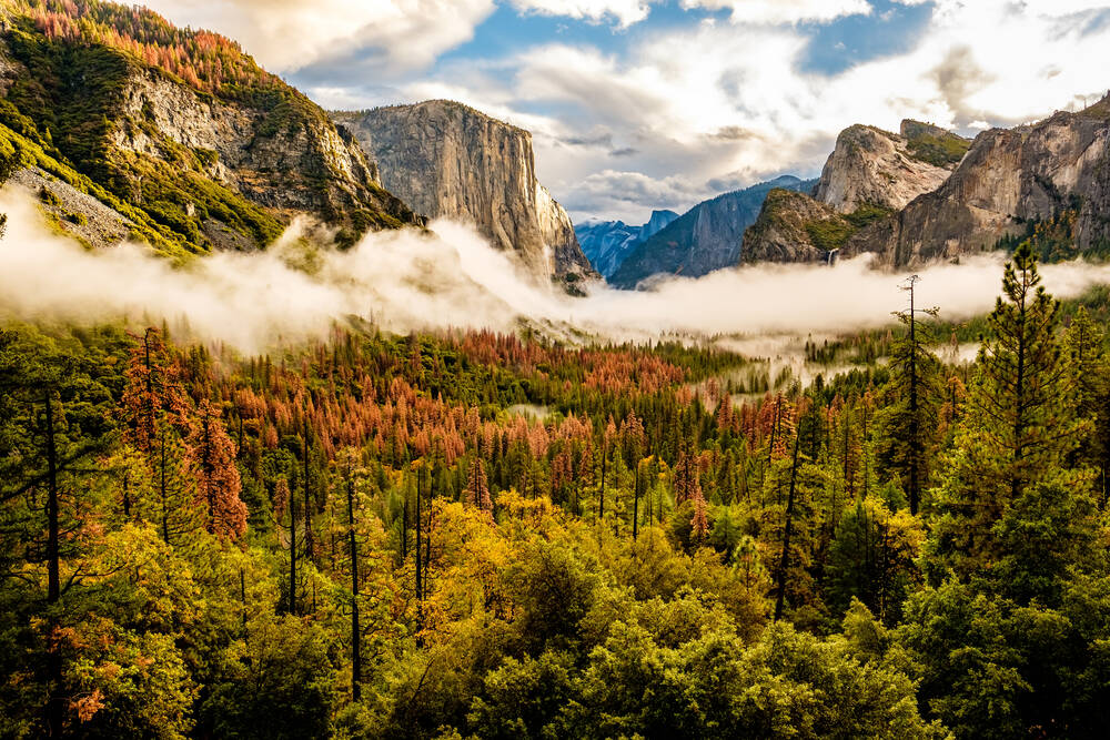 Yosemite valley