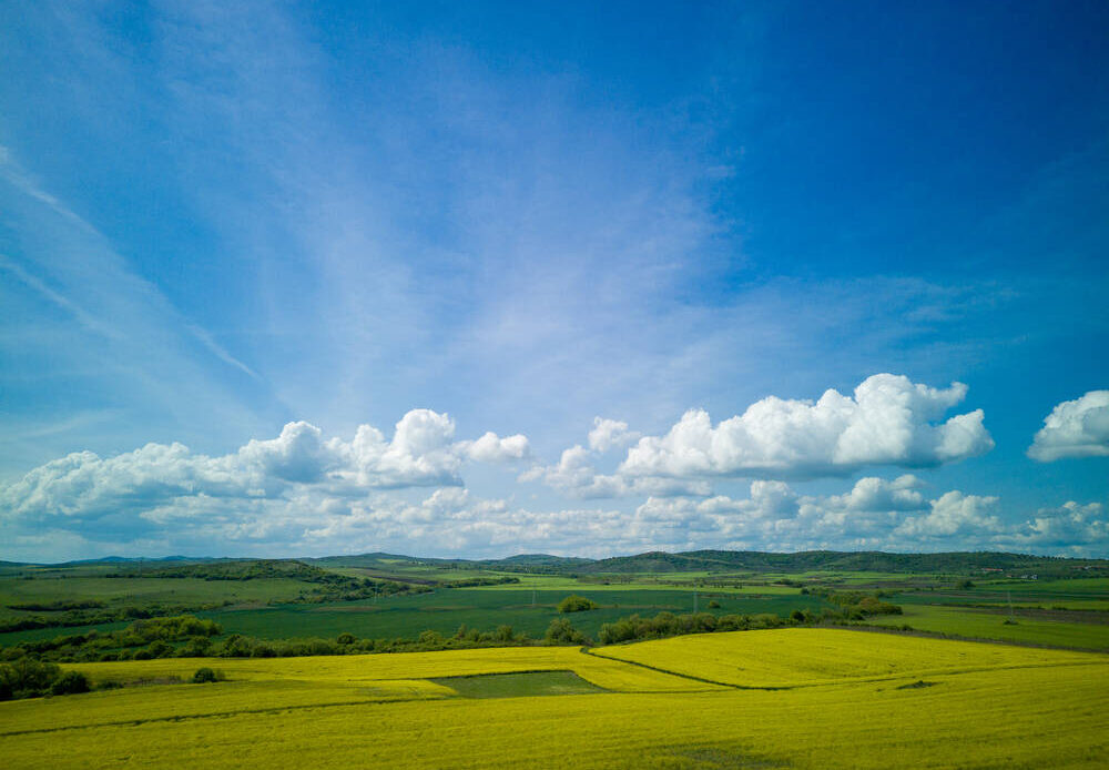 Blue sky over green fields