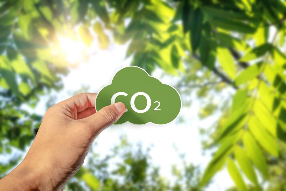 A green CO2 sign in a hand